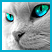 Käyttäjän avatar