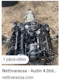 Kiesi40.JPG