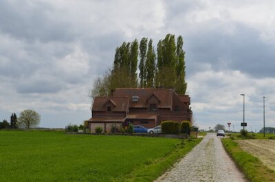 DSC_1383 (Small).JPG