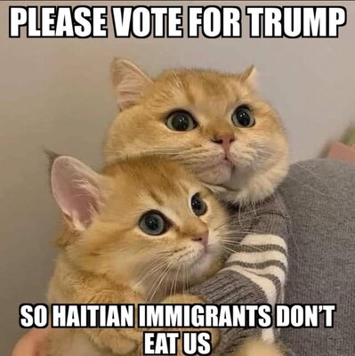 trump6.jpg