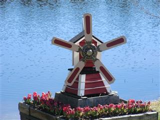 CIMG0296 (Mobile).JPG