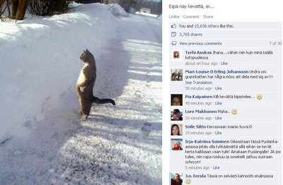 Capture_kevät.JPG