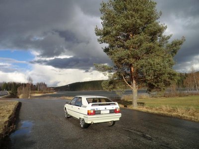 Bx llä Zx-miitissä 2013.jpg