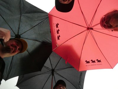 4 sadettakin piisasi.jpg