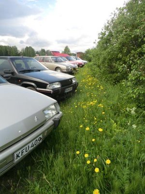 3 kesä ja kukkaset.jpg