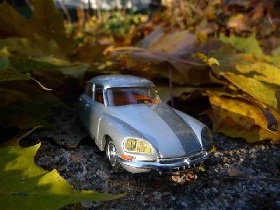 Kopio ds1 (Small).jpg