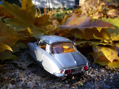 Kopio ds2 (Small).jpg