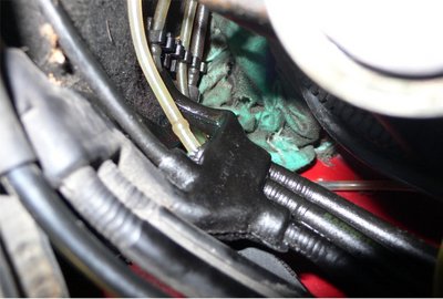 Mustekkalan murtunut lonkero.JPG