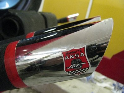 ansa.jpg