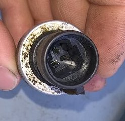 safps_1.jpg