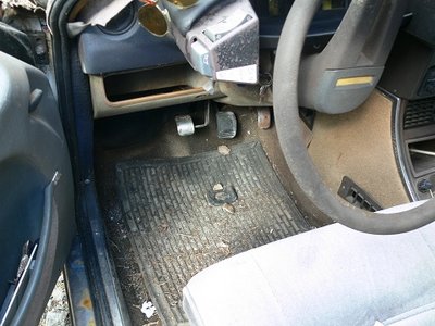 Hiiri painaa poljinta.jpg