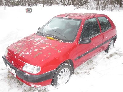 onkos tullut kesä.jpg