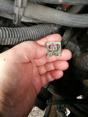 Peugeot anturijohto 1.jpg