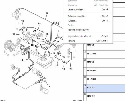 Hydepaluuletku bb.jpg