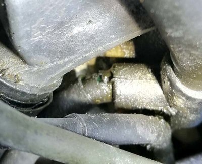 IMG_20190515_192202 bb.jpg