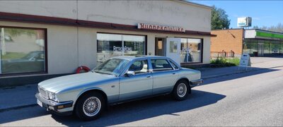 IMG_20210617_103200.jpg