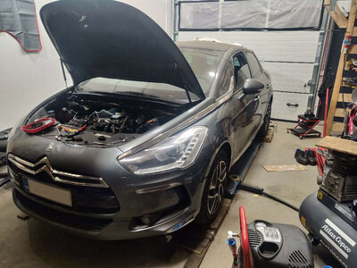 ds5.jpg