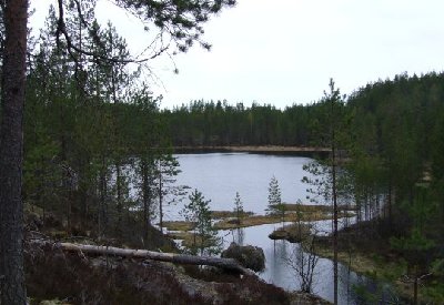 rotkolaakso.jpg