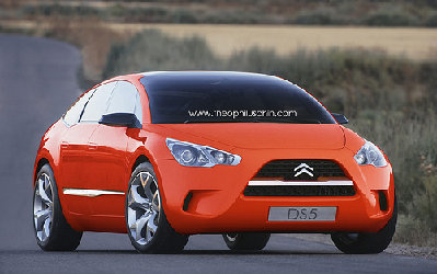 ds5.jpg