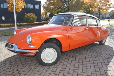 capucine+rouille+593.jpg