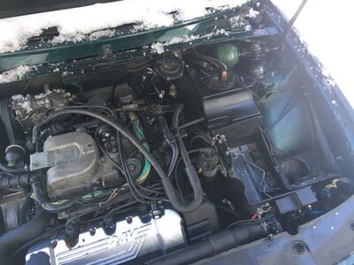 IMG_2664-01.jpeg